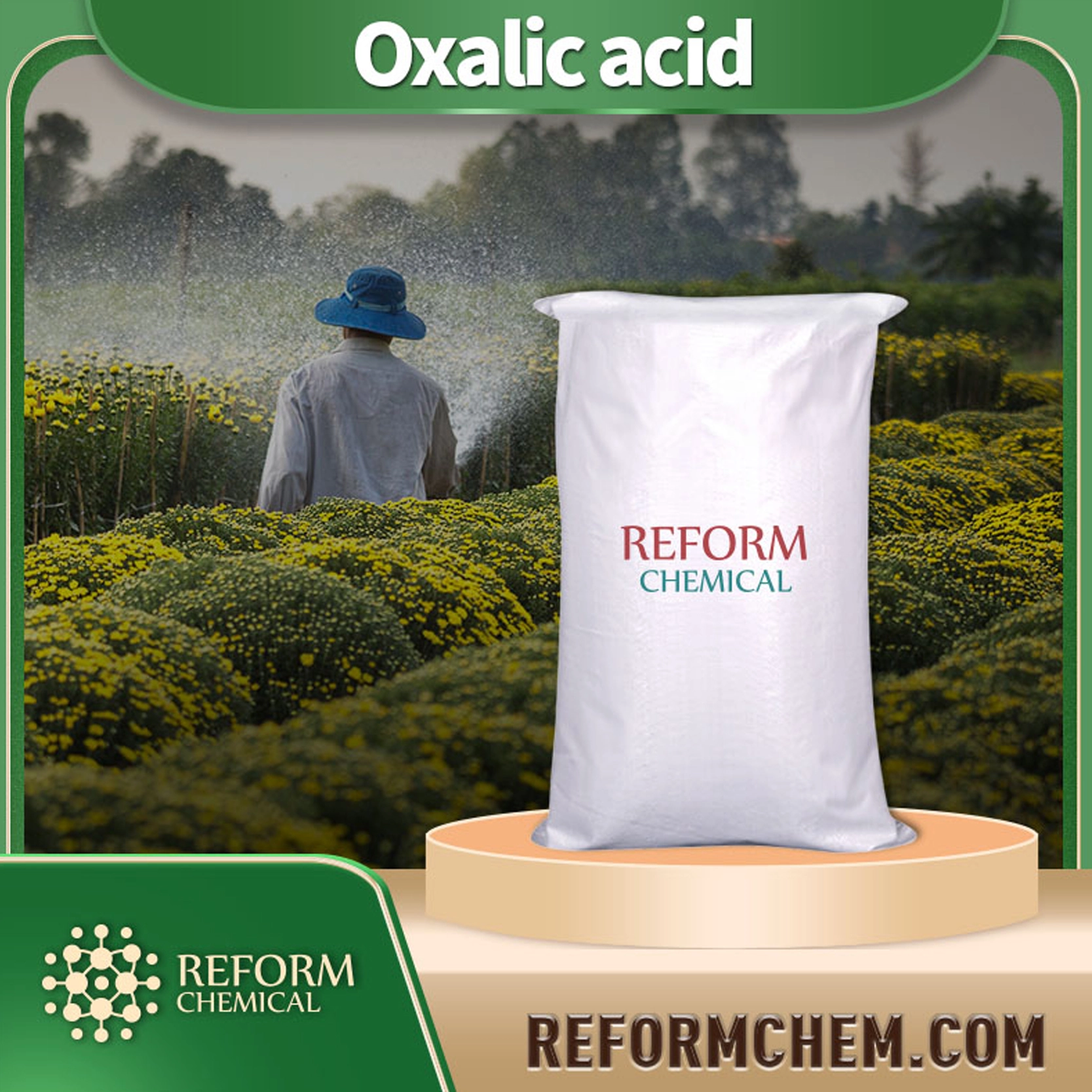 Oxalic acid